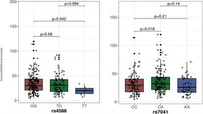 Single nucleotide polymorphisms in vitamin D binding protein and 25-hydroxylase genes affect vitamin D levels in adolescents of Arab ethnicity in Kuwait